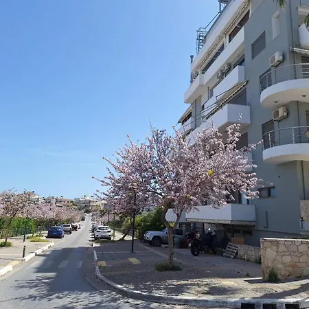 Apartment Iriana's In Center